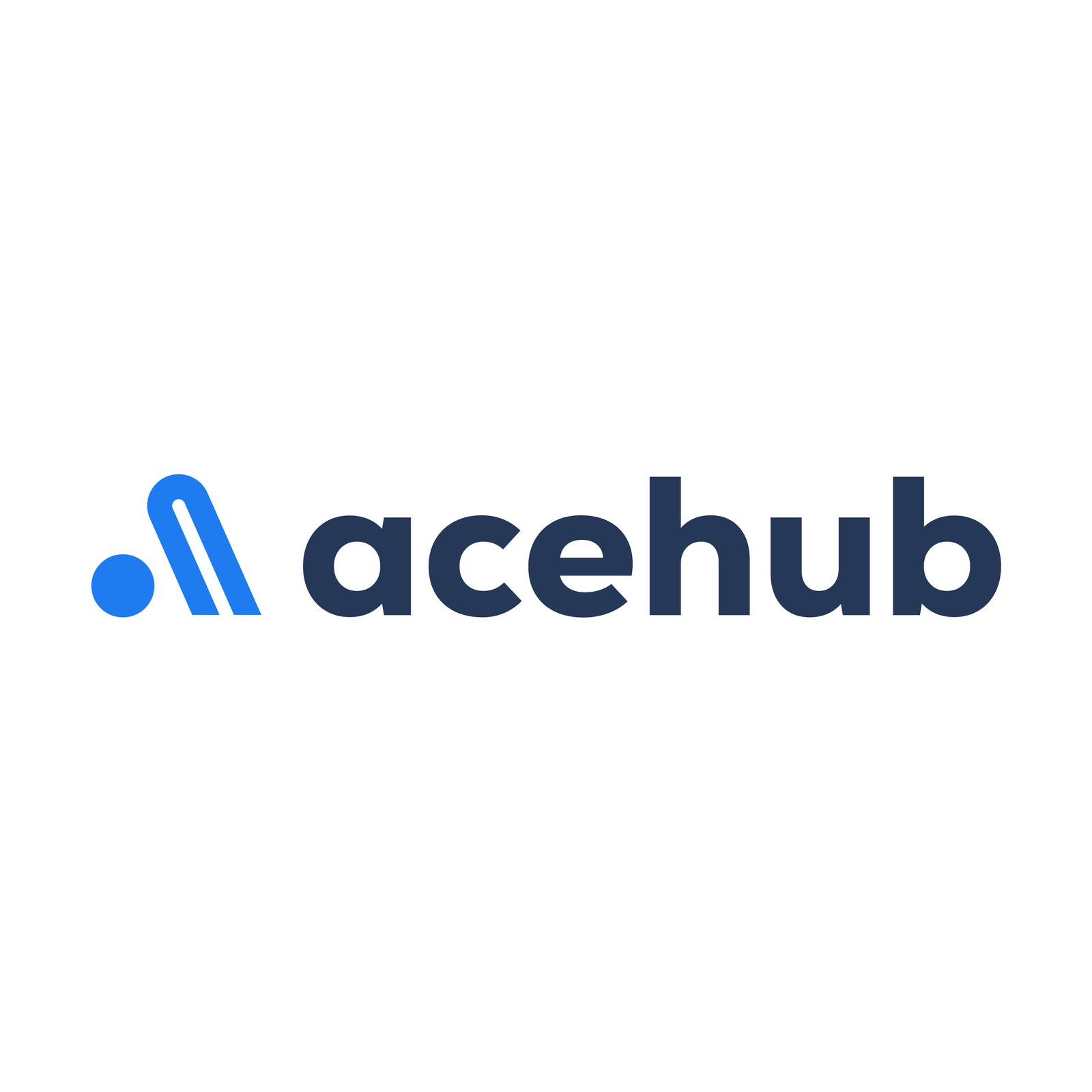 Logo acehub horizontal@4x